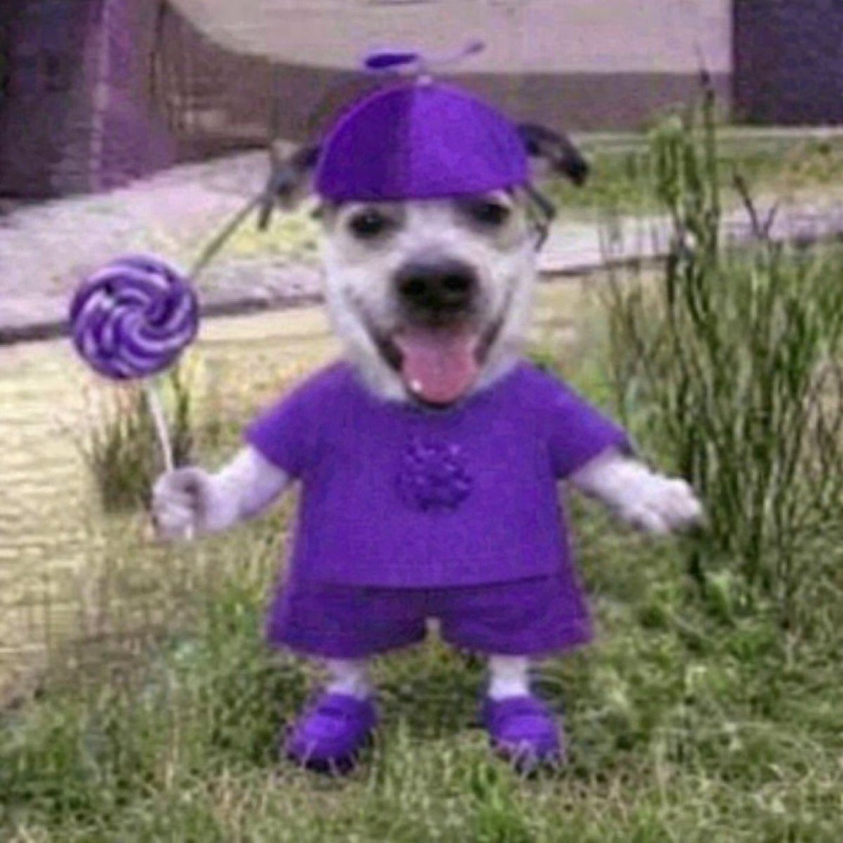 jacque🦂 tweet media