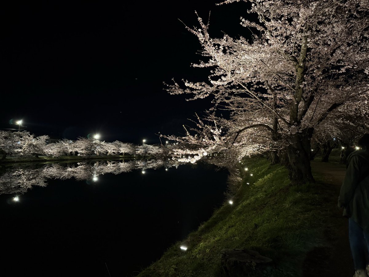 しま (@shimadesu_0917) / Posts / X