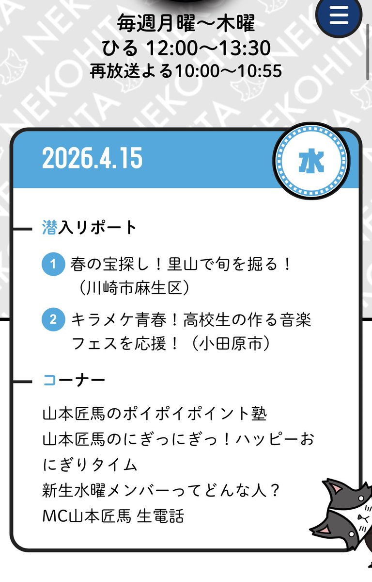 猫のひたいほどワイドNEO tweet media