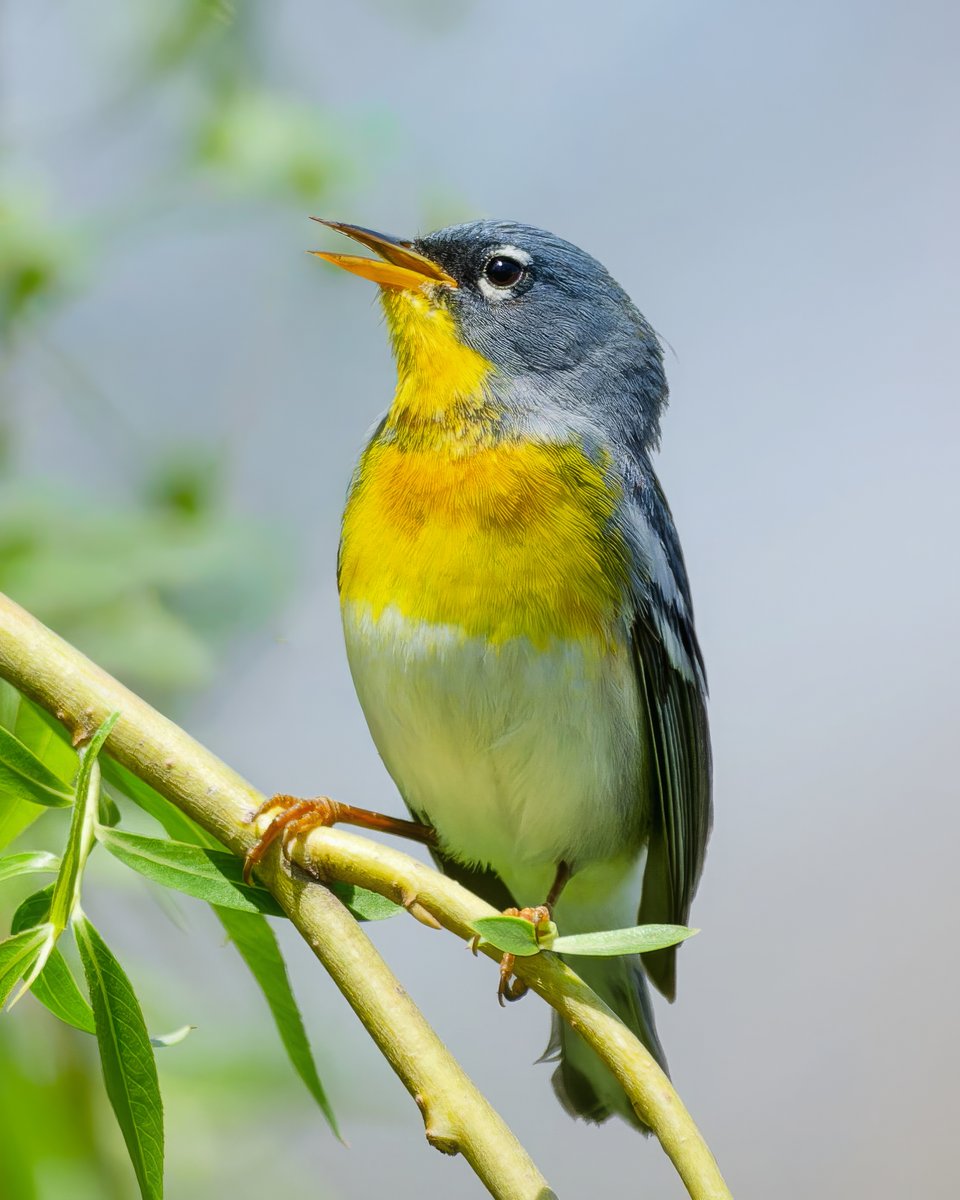 Caren Jahre tweet media