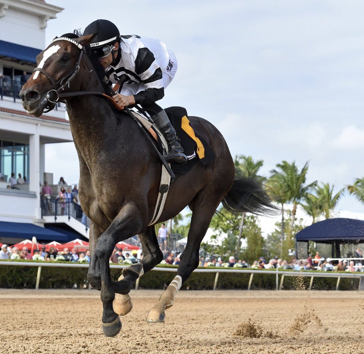 ALBERTO ETTEDGUI R. tweet media