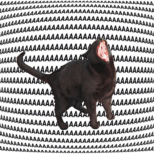 ERIKA HILTON tweet media