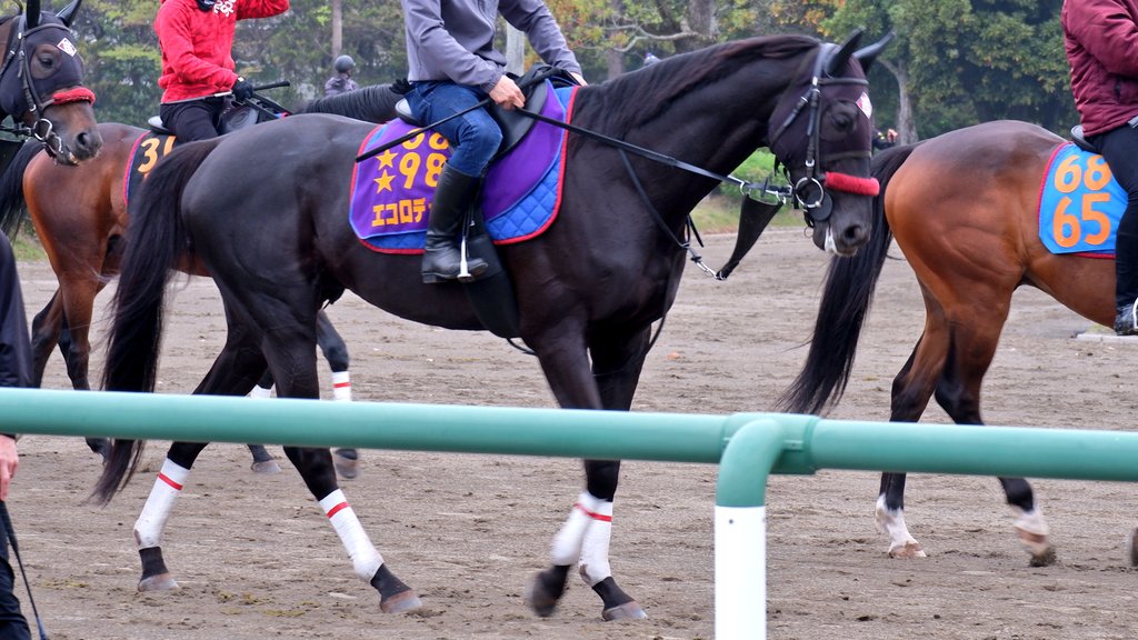 山崎 啓介 tweet media