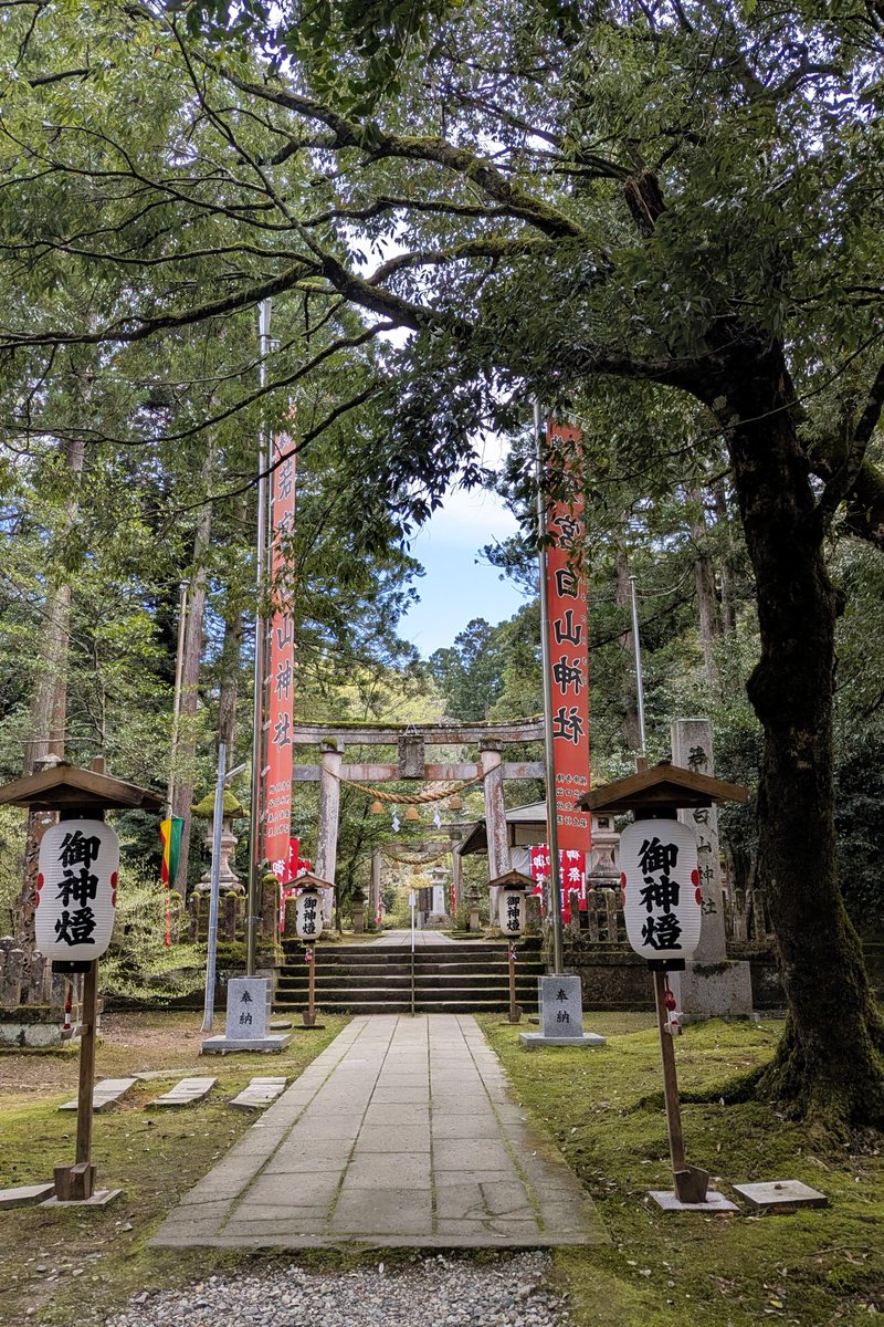 【公式】那谷寺Natadera 石川県小松市 奇岩・花・苔・紅葉の寺 tweet media