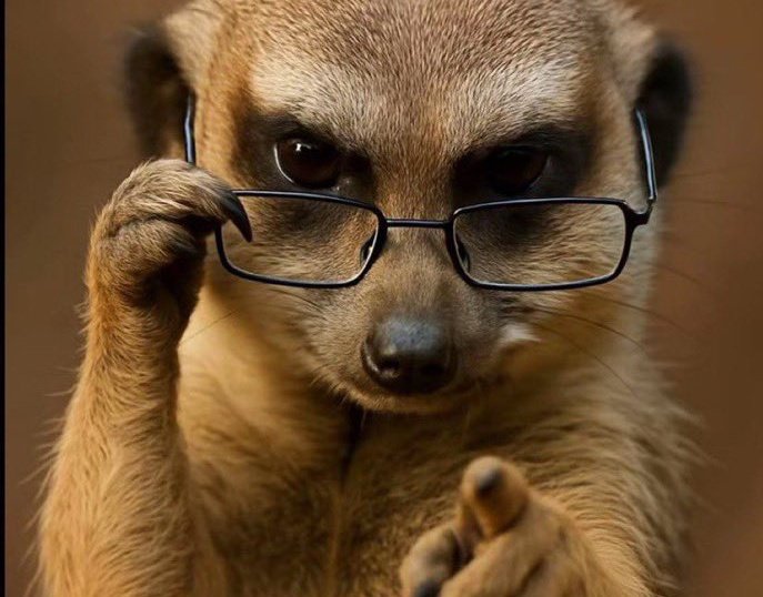 Joyce ❤️😍 tweet media