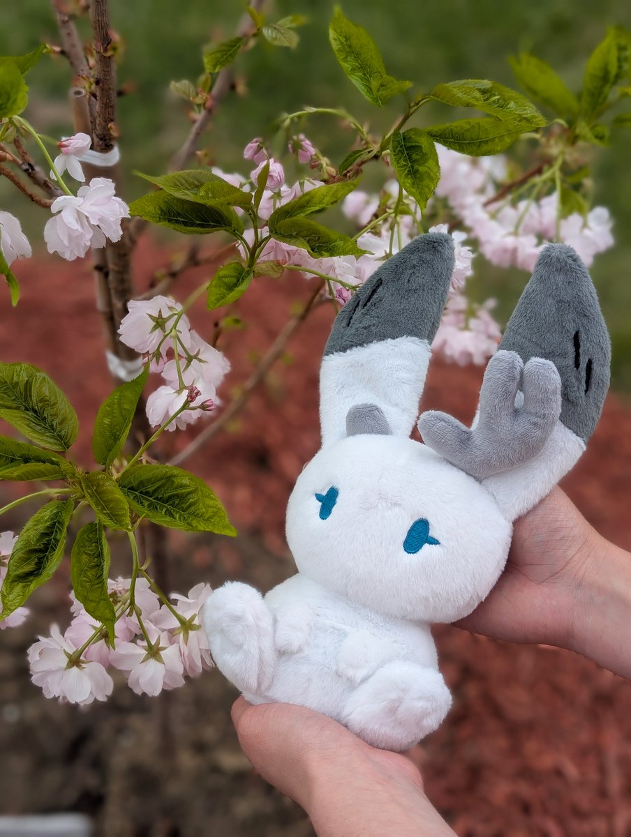 Anxiety Fox tweet media