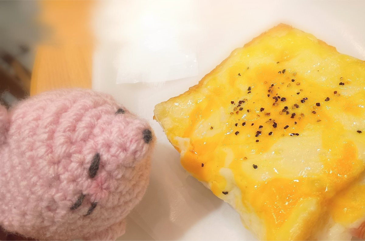 あにょざらし観測記 tweet media