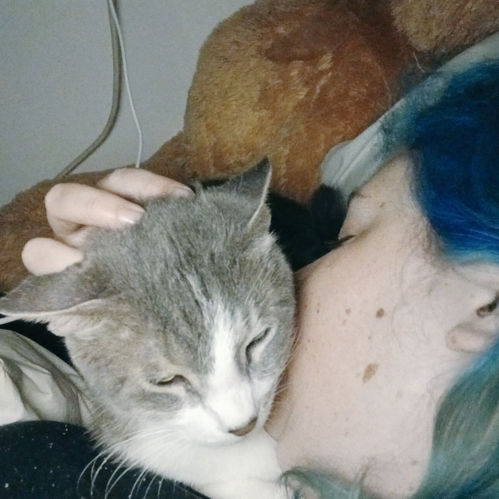 Eden 💙 +4 🐈 tweet media