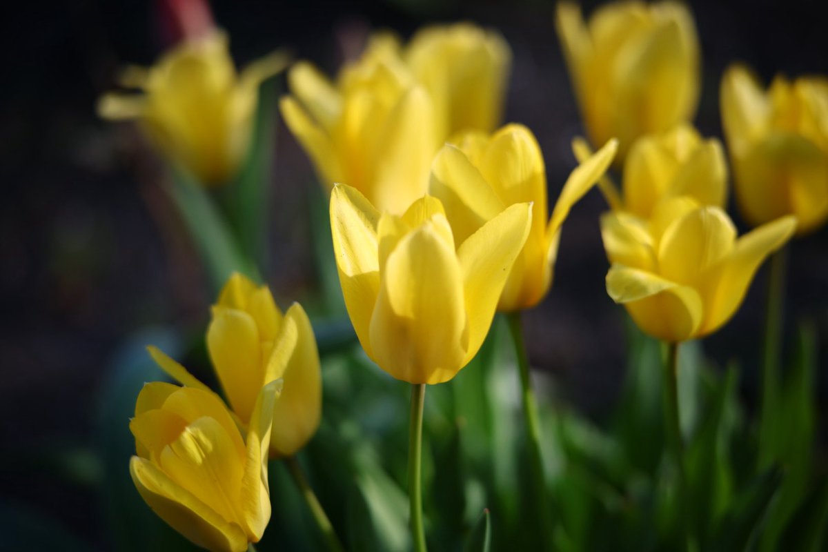 M’s Farm tweet media