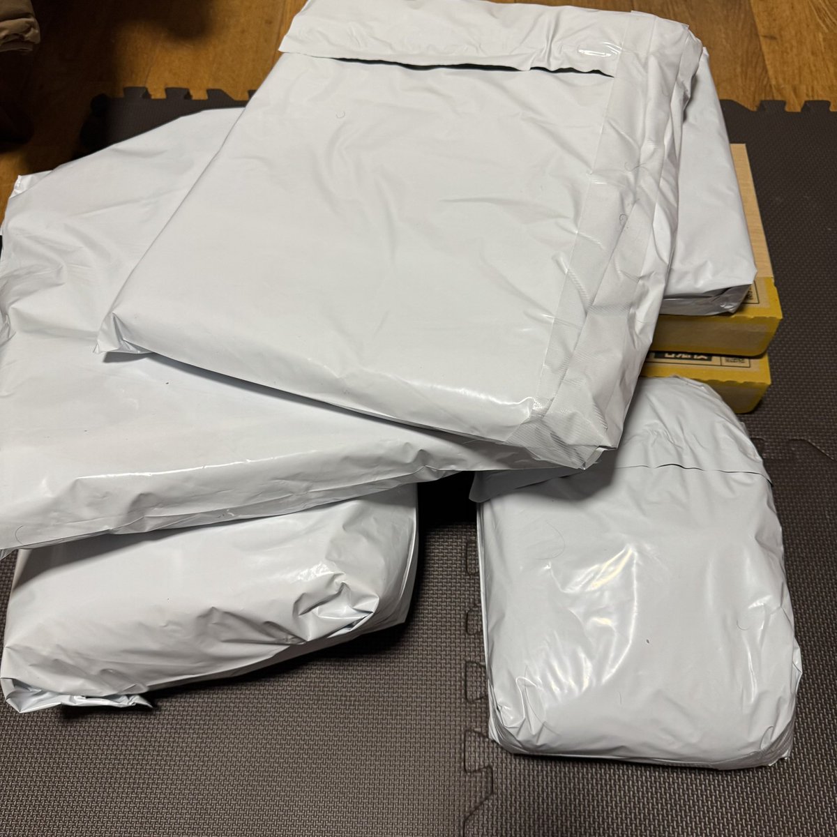 イカれん坊将軍 tweet media