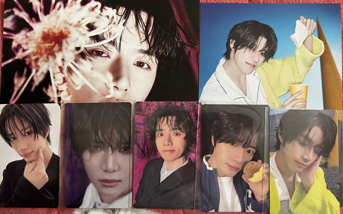 わらび🌱 tweet media