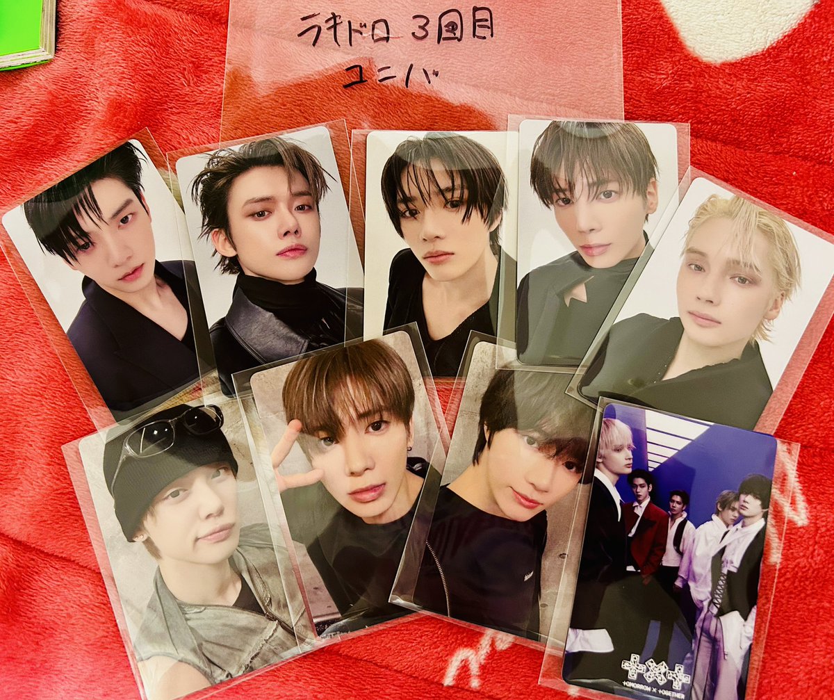 わらび🌱 tweet media