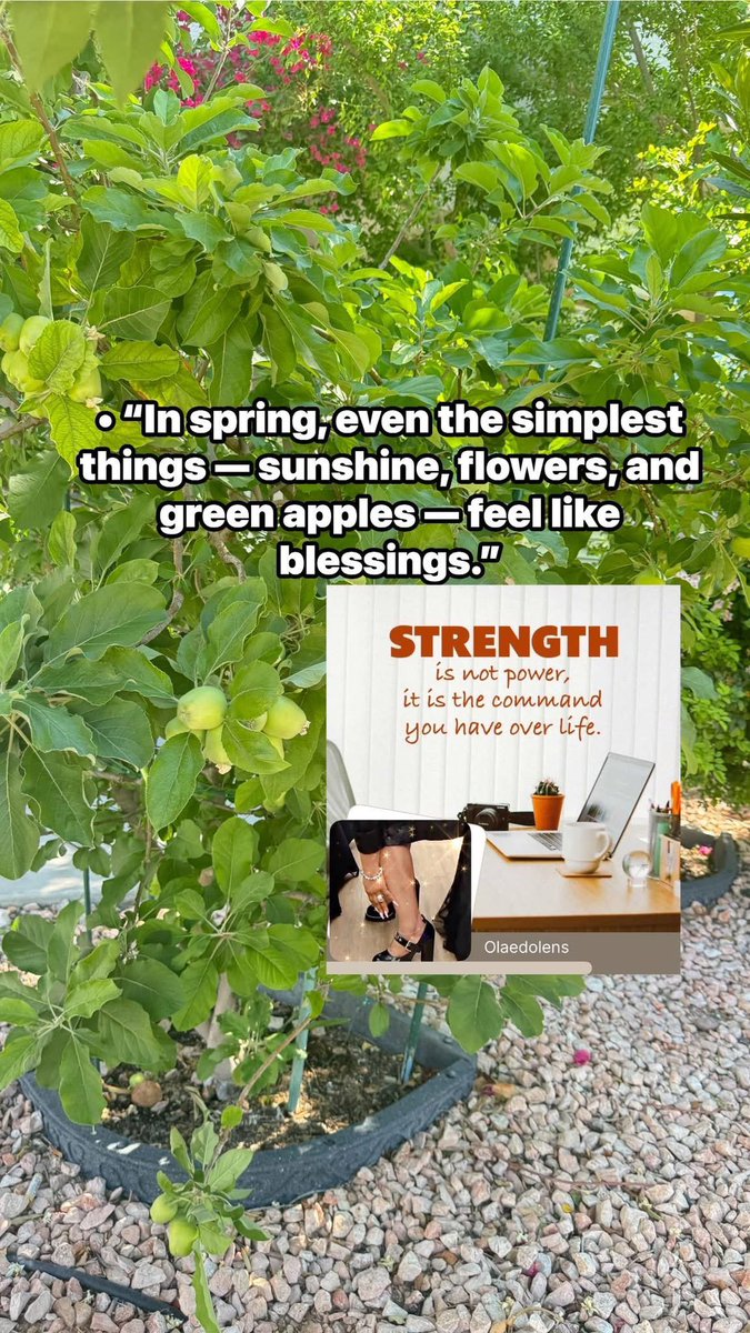 LoloOlaedo's tweet image. • Our little fruits orchard, growing sweetness one season at a time 🌸🍏
• Small orchard. Big blessings. 🌿🍎
• Spring blooms in our little fruits orchard 🌸🍏
• Sweet green apples and peaceful spring days 🍏

Hashtags
#LittleOrchard #SpringVibes #GreenApples #FreshFruit