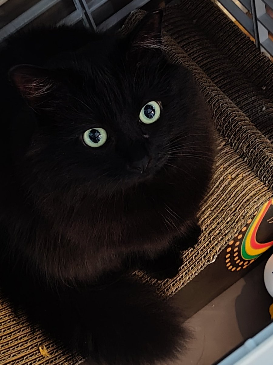 まるん tweet media