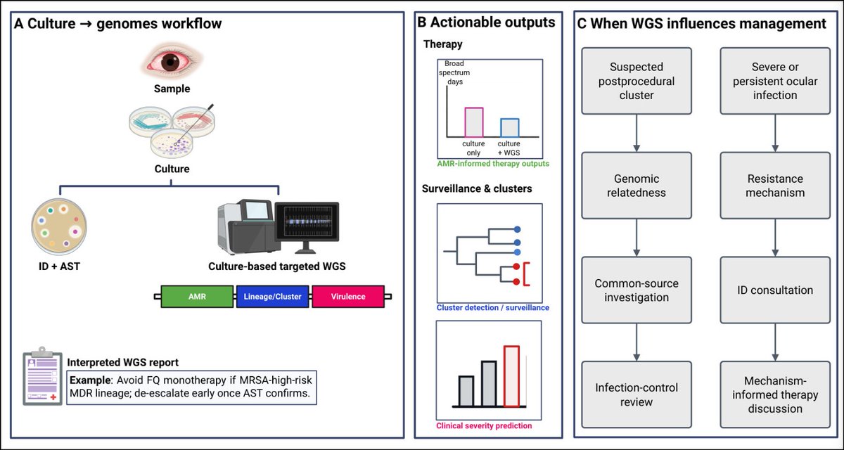 mbiojournal's tweet image. Vision-threatening eye infections are increasingly drug resistant. In this new #mBio Perspective, Fenniri and André argue that genome-informed diagnostics can sharpen therapy &amp;amp; save vision. doi.org/10.1128/mbio.0… #AMR #ophthalmology #MRSA #genomics