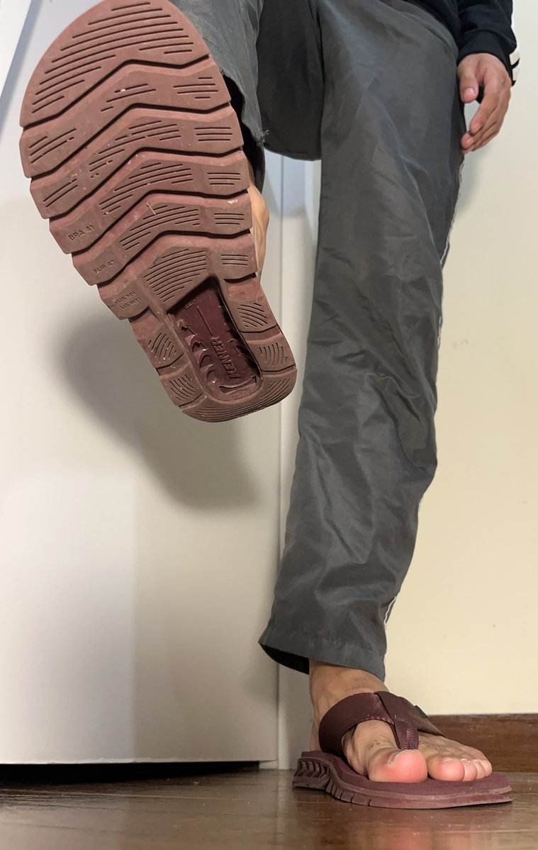 Alpha Mateus tweet media