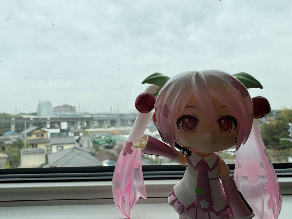 タンパク(優しくなりたい) tweet media