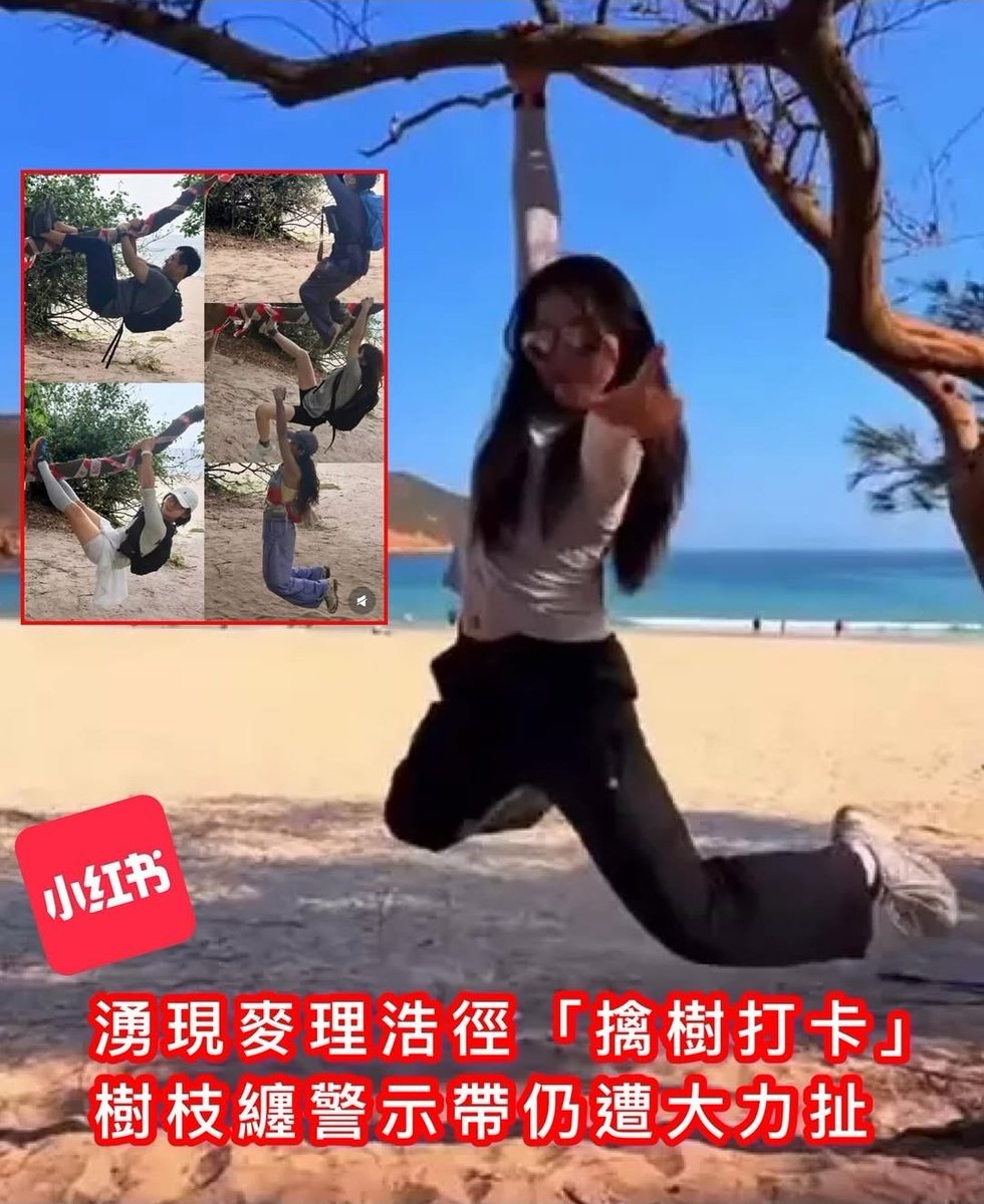 心淡的懶貓🎗🐈⬛🥀🌴 tweet media