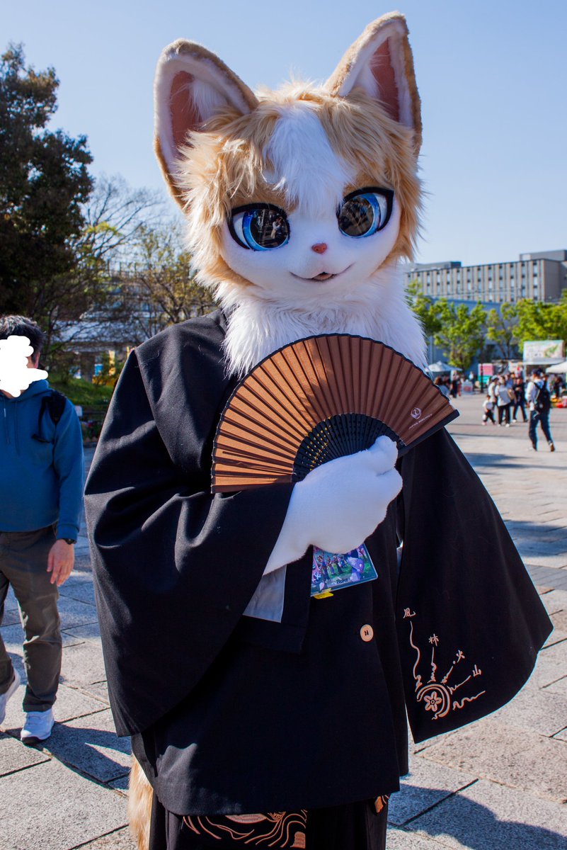 Cerasus_35K's tweet photo. #京けも4
#HalfsuitWednesday
気品漂う猫様... https://t.co/PqbLj0PYBy