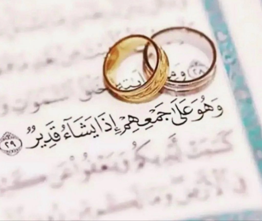 Cëllö🎻 tweet media