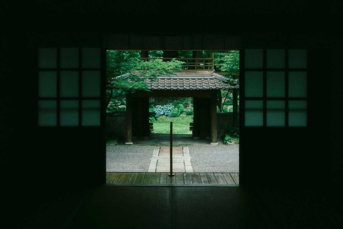 真道 健志 / Shindo Takeshi tweet media