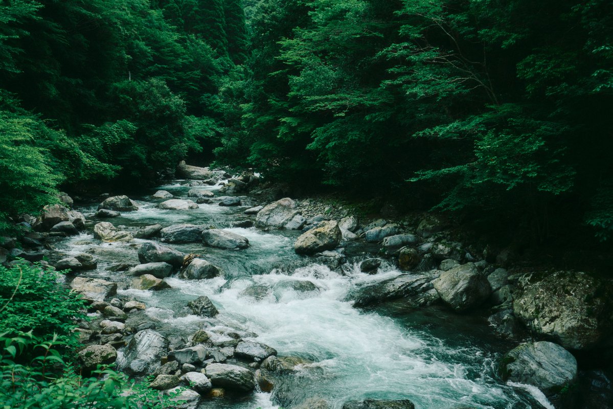 真道 健志 / Shindo Takeshi tweet media