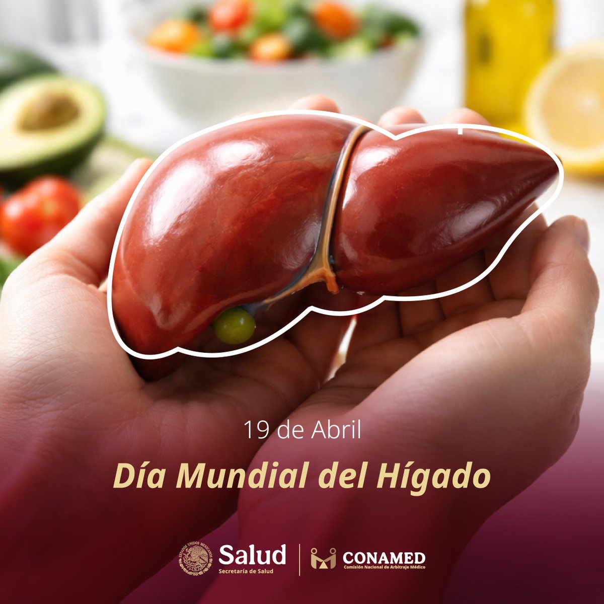 CONAMED_SALUD's tweet image. 🩺 Las enfermedades hepáticas afectan el funcionamiento del #hígado, órgano vital para desintoxicar el cuerpo y procesar nutrientes.

Hábitos como una buena nutrición, actividad física y chequeos médicos mejoran la salud de tu hígado.

#Salud #Prevención #Bienestar #Efemérides