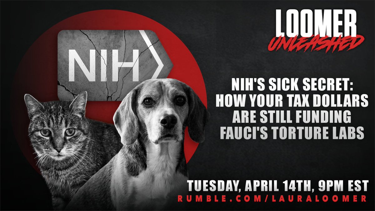 Loomer Unleashed tweet media