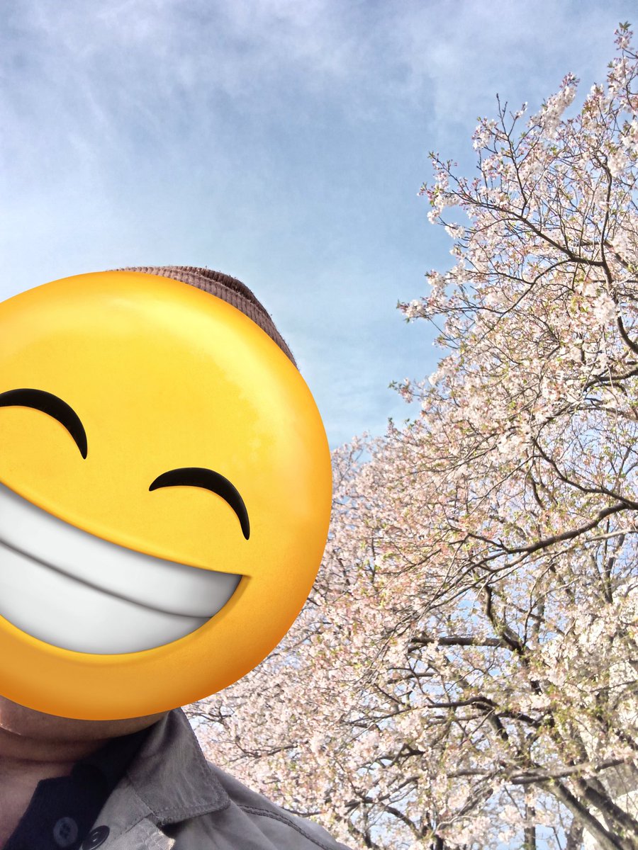 🌸雲☁️青空を見て生きる。またね‼️ tweet media