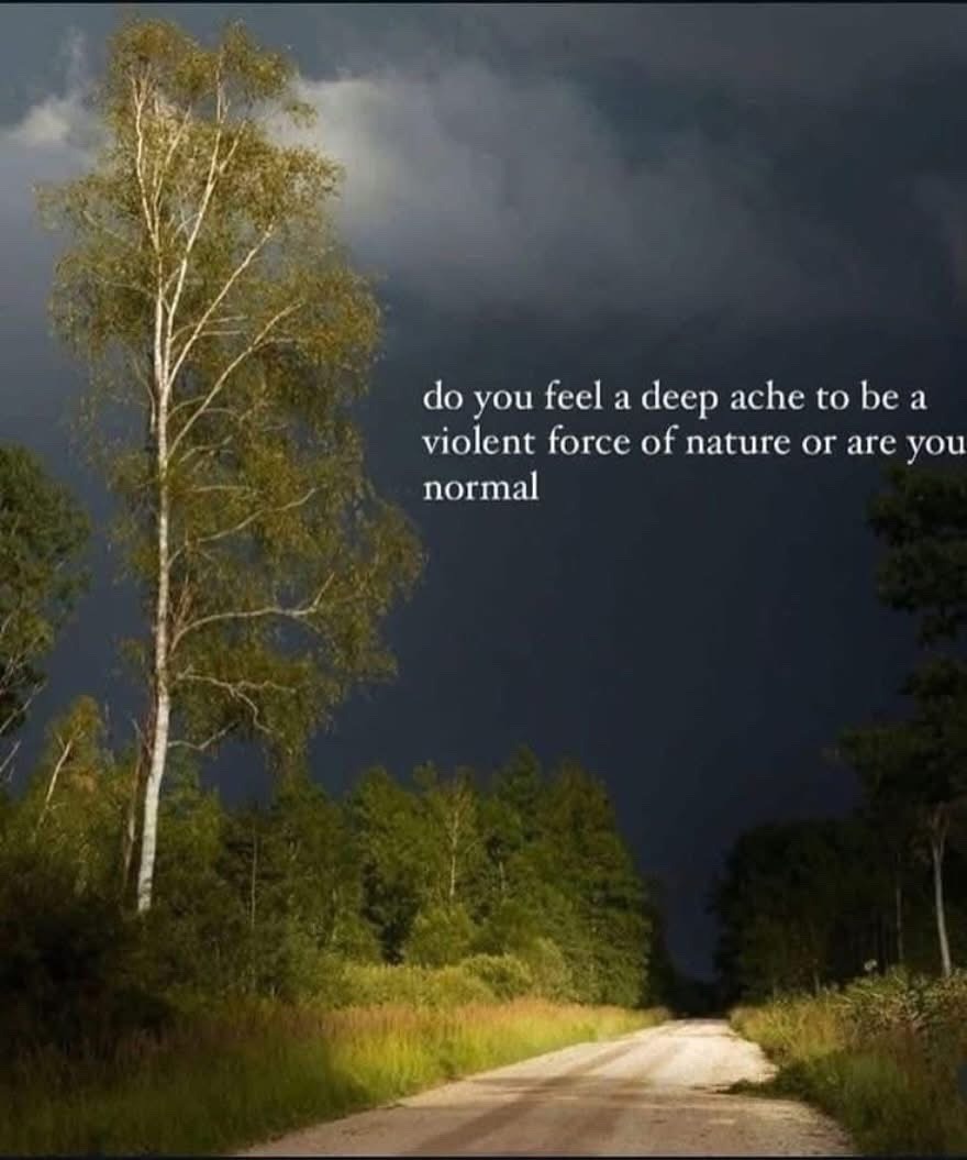 Synexdoche (@amor_fatti) on Twitter photo 