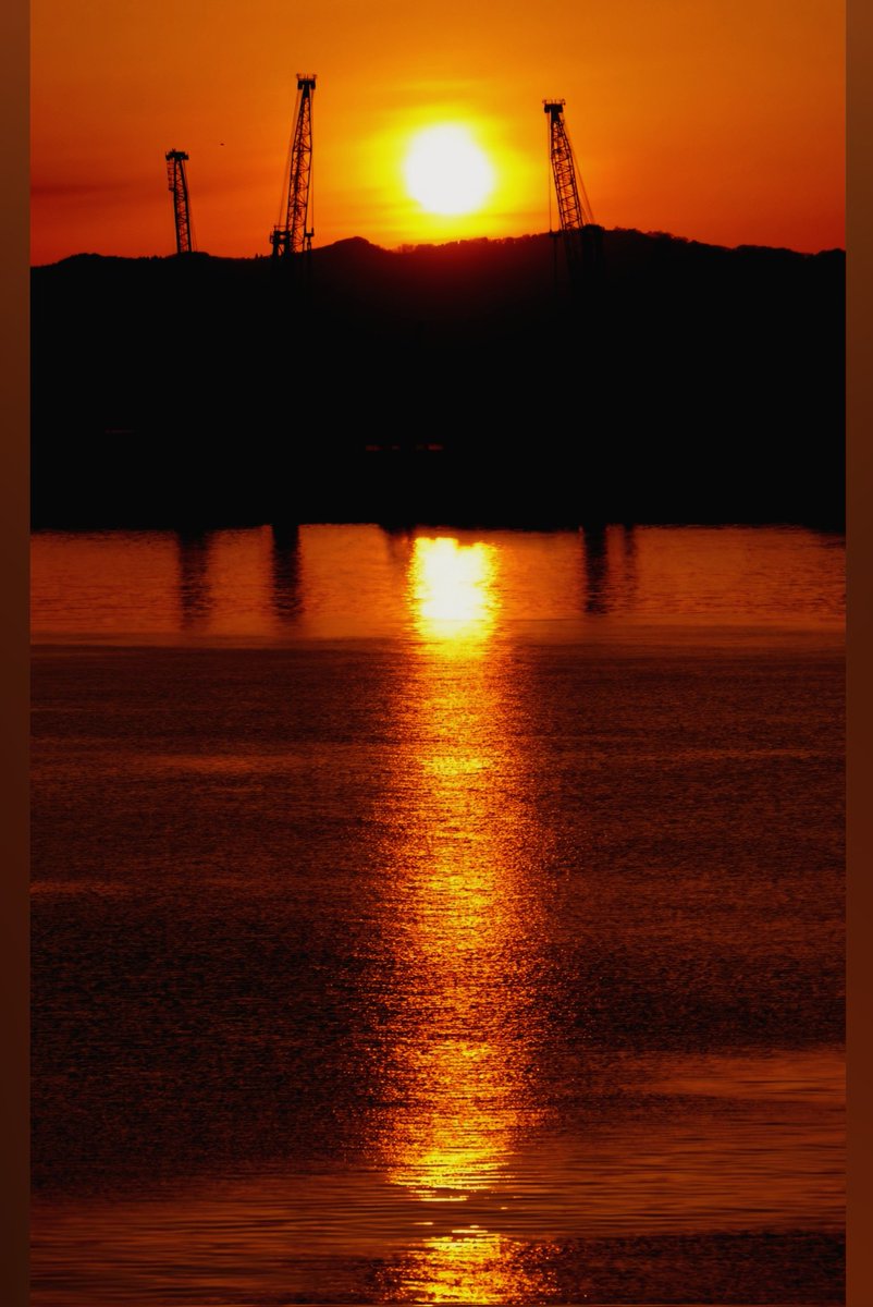 hanamaru tweet media