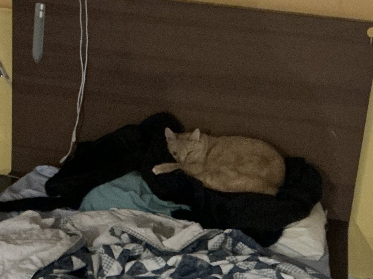 viral infection tweet media