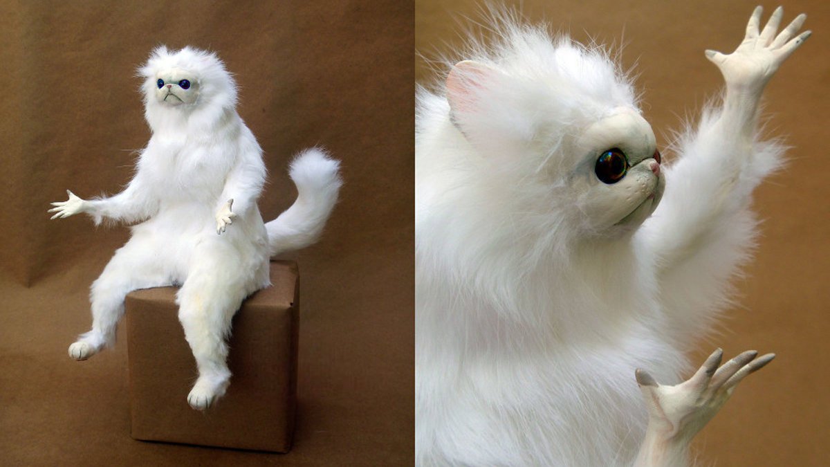 Rohan Talwadia — e/acc tweet media