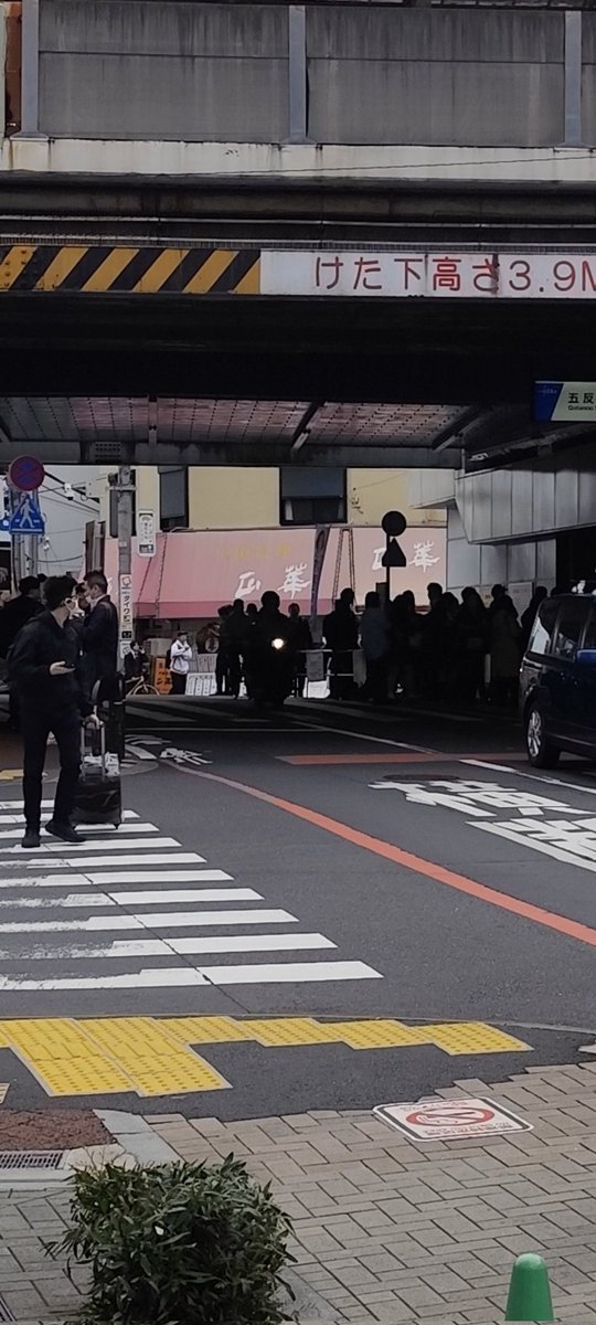 ねことクマの森🐱🐻@🐸🚀📕稀に配達ぽぃ雰囲気 tweet media