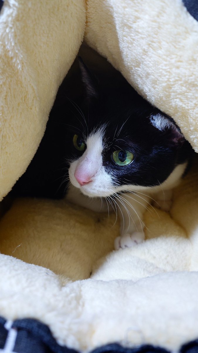 ひろっぺ☝️🎹🔥 tweet media