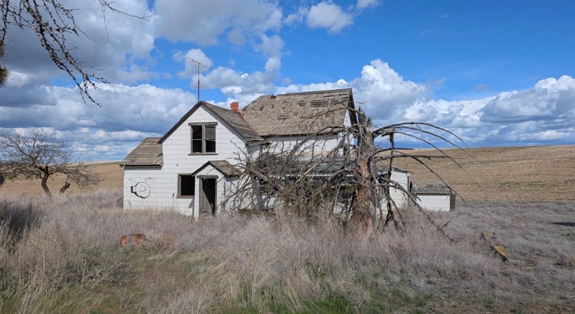 SweetMarie tweet media