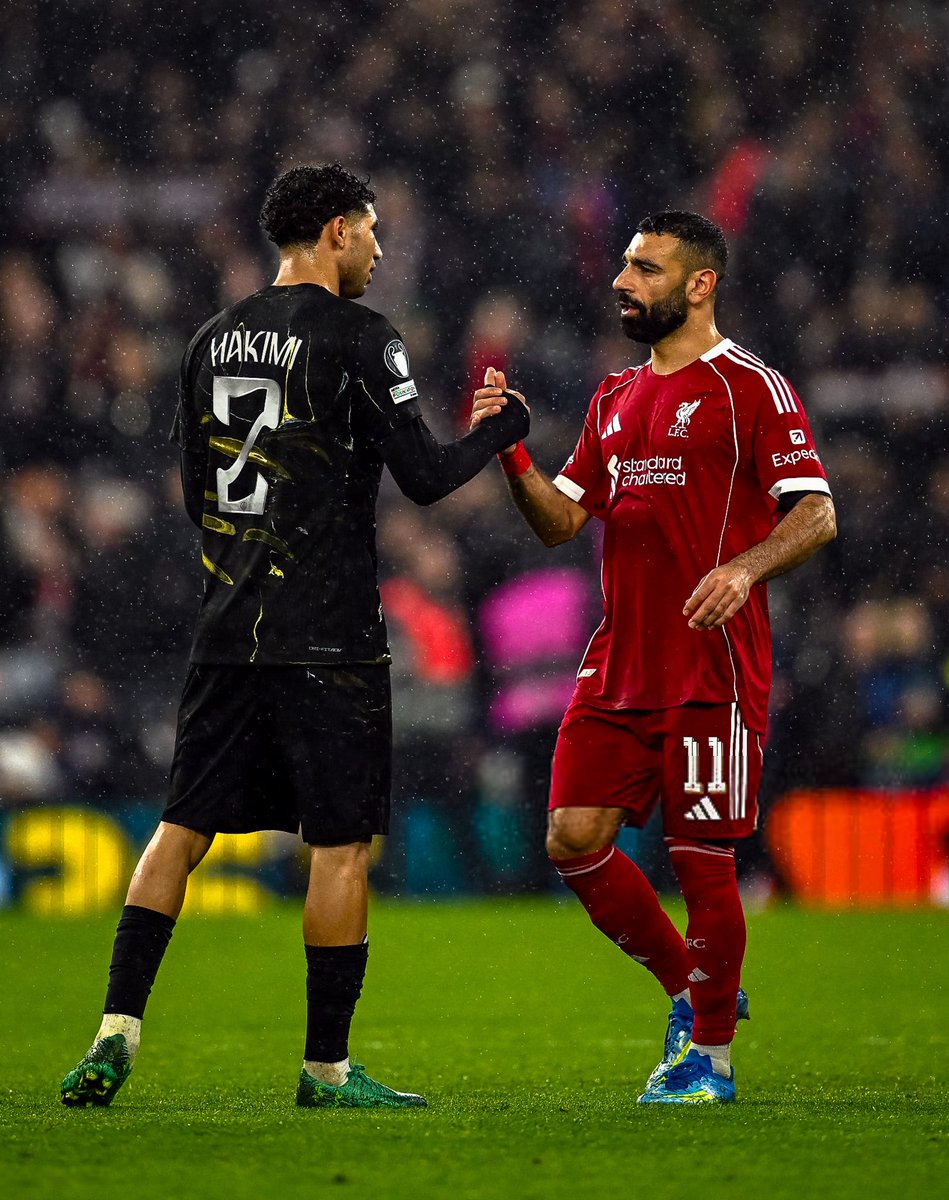 𝑯𝒐𝒖𝒅𝒂 tweet media