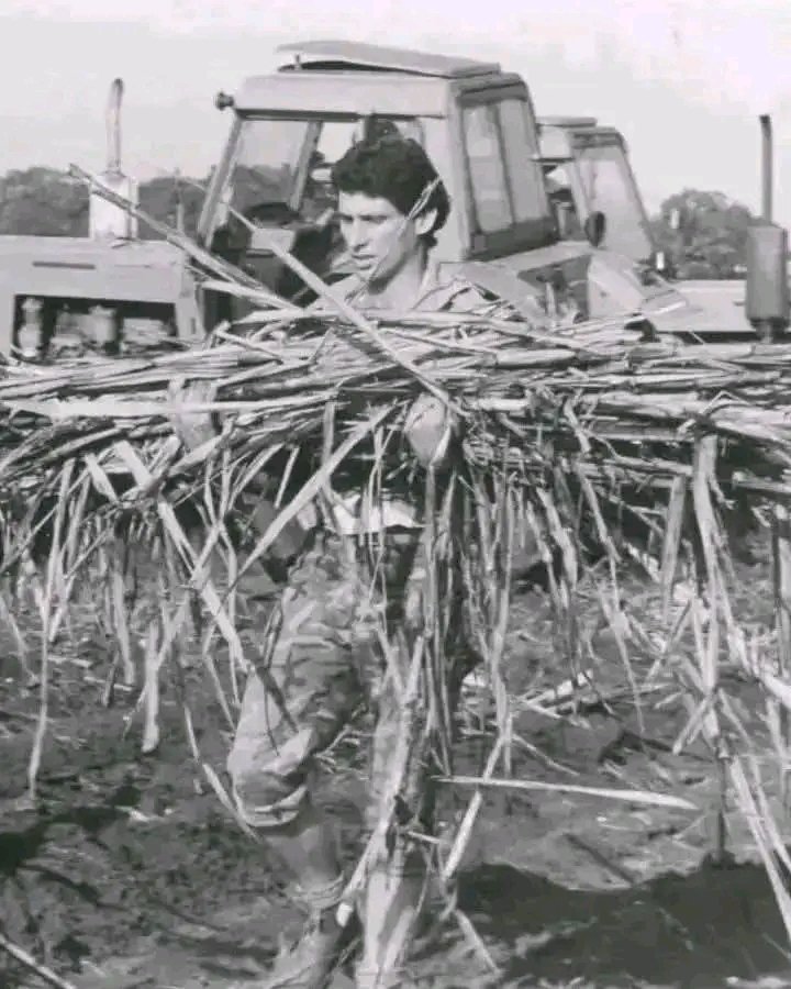 La prueba de que nuestro Presidente #DiazCanel hoy es el fruto de la semilla #Comunista que sembró la #RevoluciónCubana. No fue comprado... Nació de pueblo.