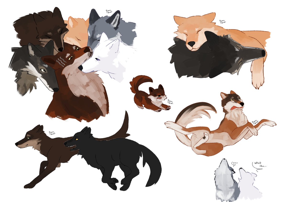 Loreleya tweet media