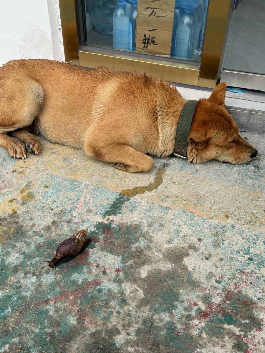 Steve Mathews tweet media