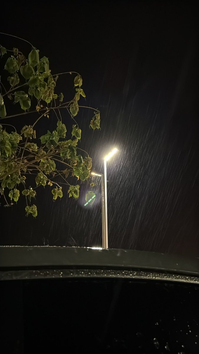 سعُود . tweet media