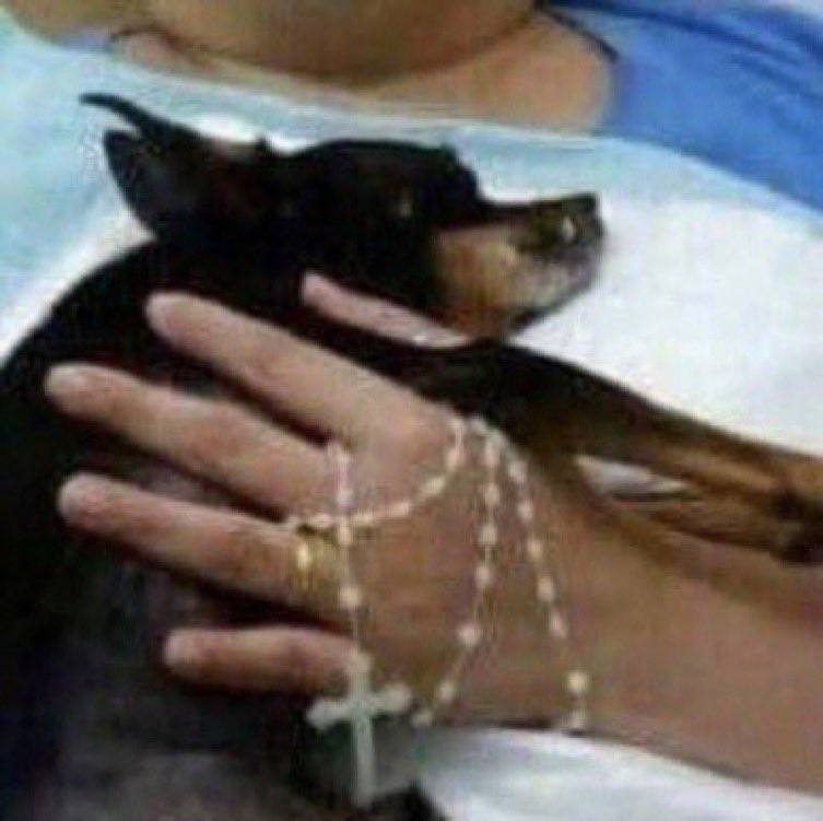 li xicheng tweet media