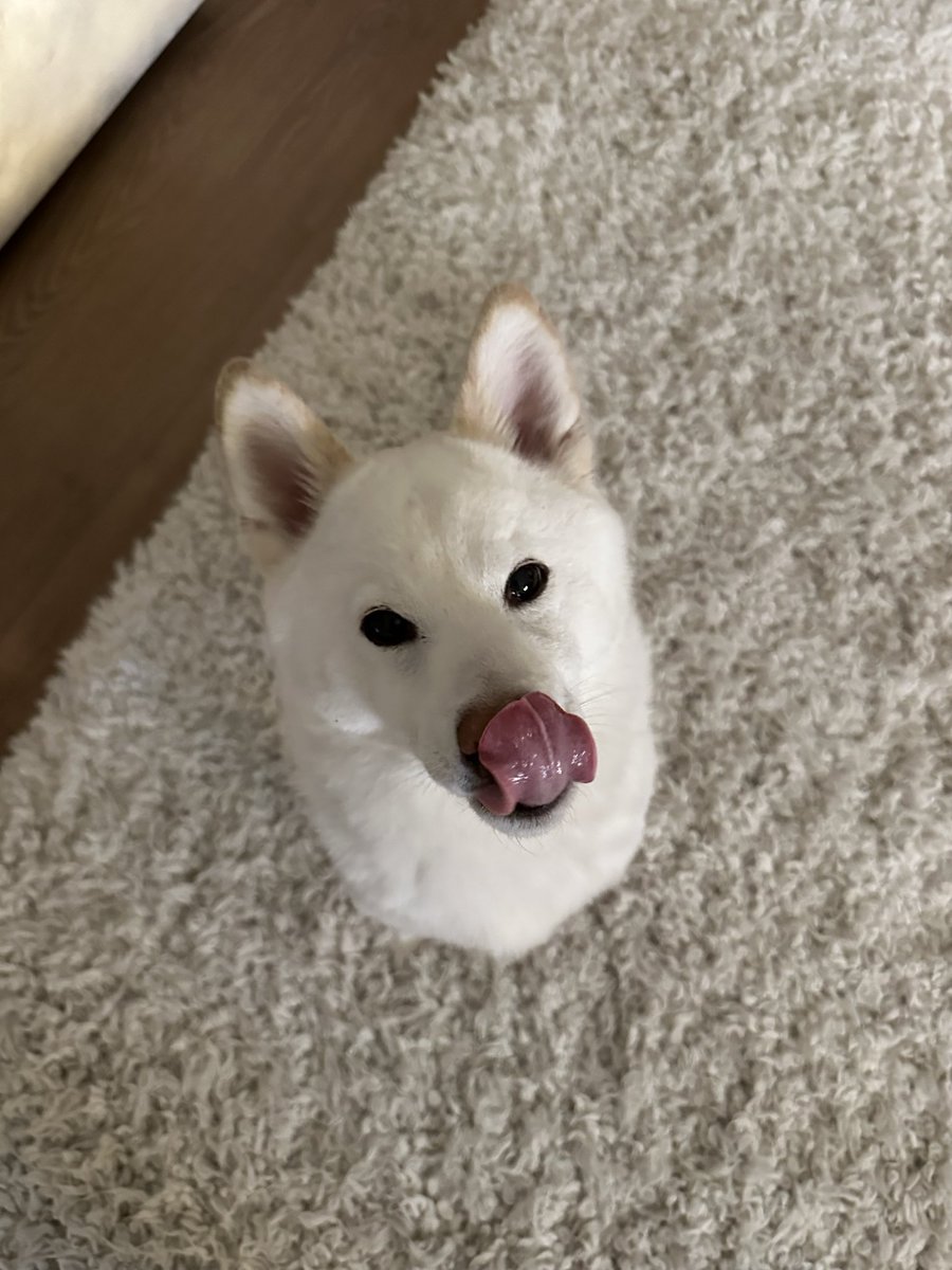 also Mika before and after treats :)