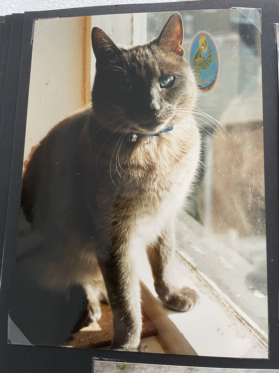 Terrawuzhere tweet media