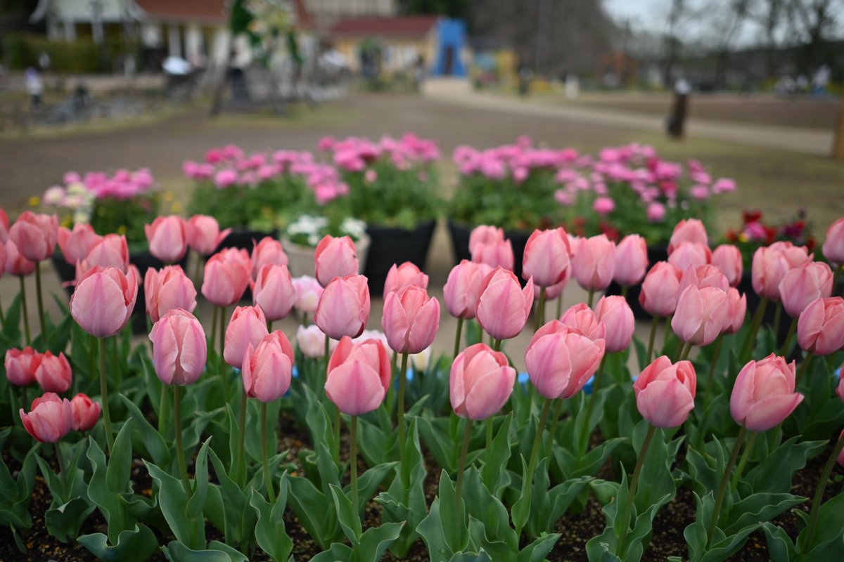 たつもが@CB1300SB SP tweet media