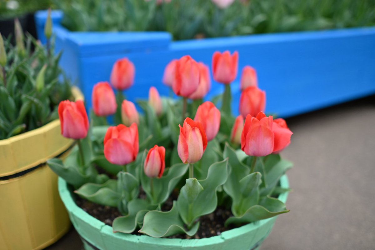 たつもが@CB1300SB SP tweet media