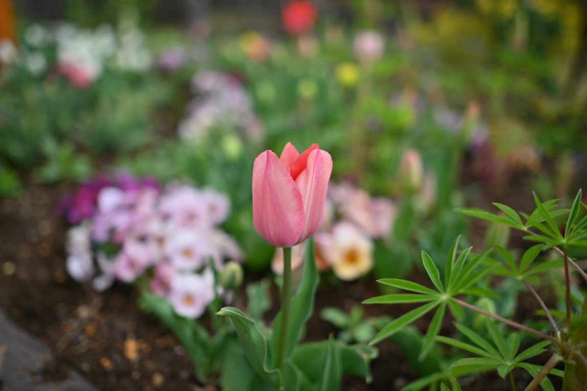 たつもが@CB1300SB SP tweet media