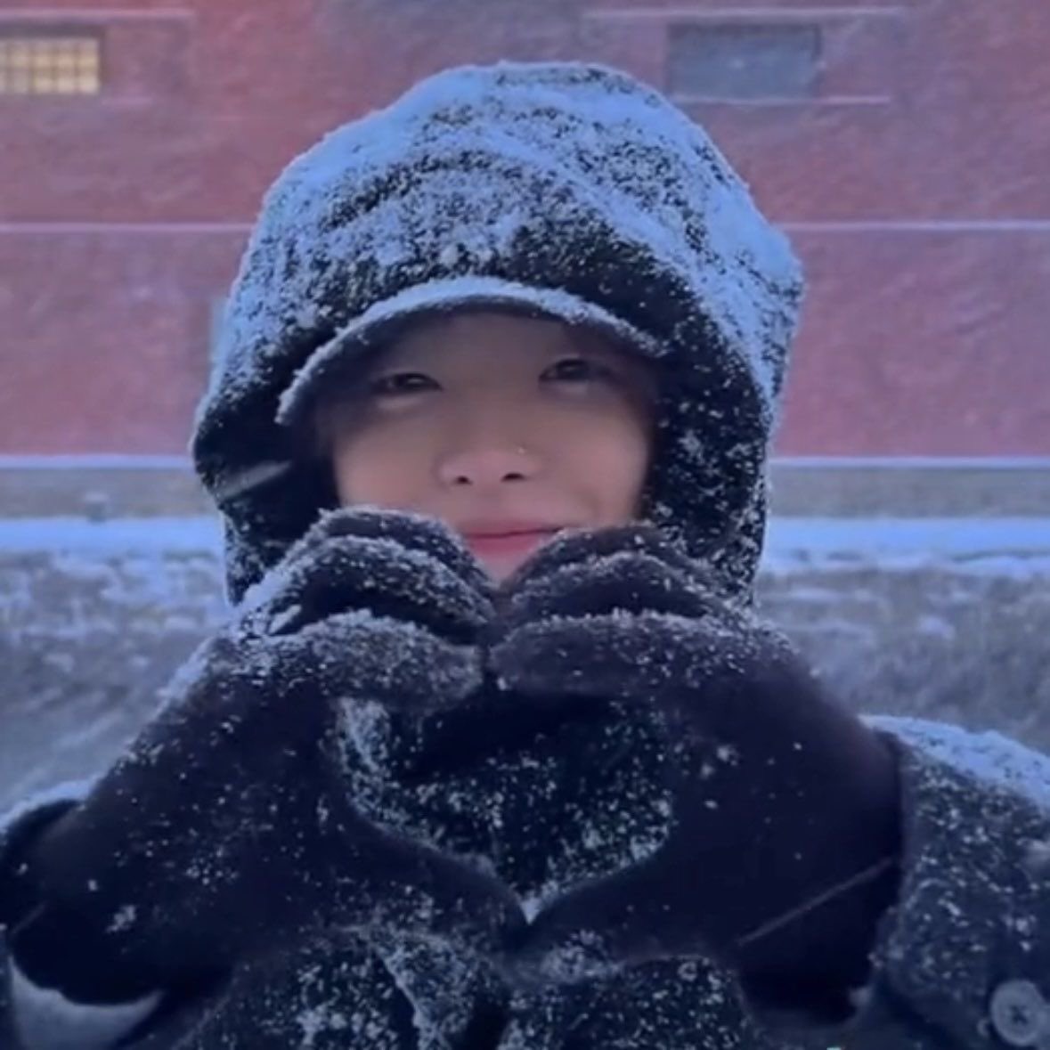 しまうま tweet media