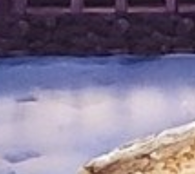 SeeingMount Replies tweet media