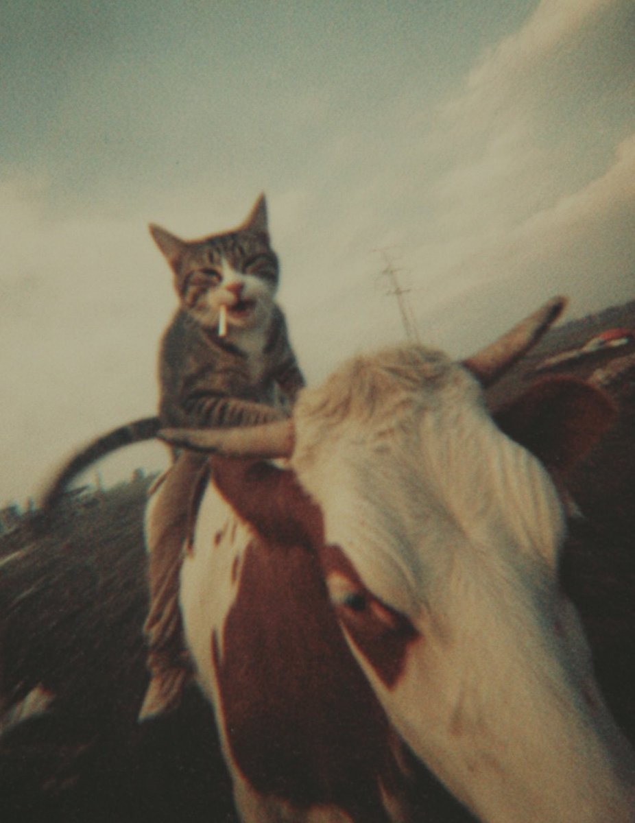 Album Aura 💿 tweet media